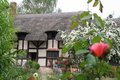Stratford-upon-Avon, Anne Hathaways Cottage (adj) image 6
