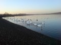 Strathclyde Park Golf Centre image 3