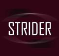 Strider Ltd logo