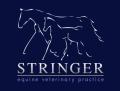 Stringer Equine Veterinary Practice, Exeter, Devon logo