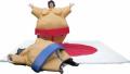 Sumo Experience image 2