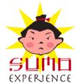 Sumo Experience image 4