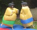 Sumo suits image 2