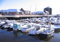 Sunderland Marina image 2