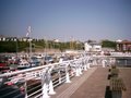 Sunderland Marina image 3