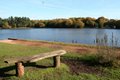 Sutton Park image 2