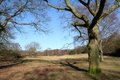 Sutton Park image 4