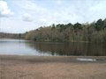 Sutton Park image 5