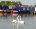 Swanley Brokerage image 1