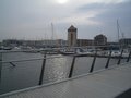 Swansea Marina image 4