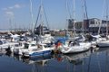 Swansea image 5