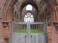 Sweetheart Abbey image 4