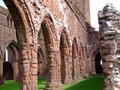 Sweetheart Abbey image 7