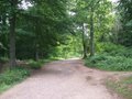 Symonds Yat image 5