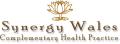 Synergy Wales logo