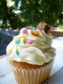 THE VANILLA POD BAKERY - Cupcakes Baked to Order from our Kitchen in Cheltenham image 3