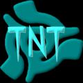 TNT Disco logo