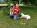 TOP DOGGIES..Dog Walking, Doggy day care, dog sitting service image 3