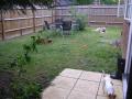 TOP DOGGIES..Dog Walking, Doggy day care, dog sitting service image 7
