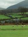 Talwrn Bach Farmhouse and Cottages image 3