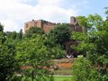 Tamworth Castle image 10
