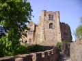 Tamworth Castle image 1
