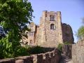 Tamworth Castle logo