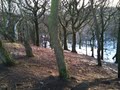 Tandle Hill Country Park image 6