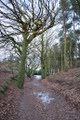 Tandle Hill Country Park image 7