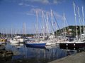 Tarbert image 2