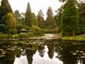 Tatton Park image 6