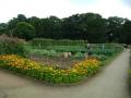 Tatton Park image 7