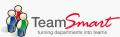 TeamSmart Ltd logo