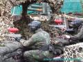 Teamforce Paintball & Activity Centre image 5