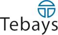 Tebays logo