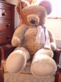 Teddy Bears Of Bromyard logo
