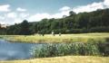 Teign Valley Golf Club & Hotel image 8
