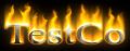 TestCo Fire Safety logo
