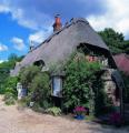 Thatched Cottage Hotel image 3