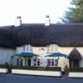 Thatched House Inn image 1