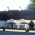 Thatched House Inn logo