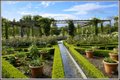 The Alnwick Garden image 7