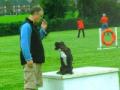 The Altrincham and District Dog Training Society image 2