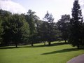 The Arboretum image 3