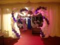 The Balloon Lady (Norfolks finest Wedding & party balloon Company) logo