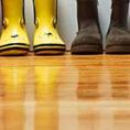 The Best Floor Sanding Company, Brighton, UK image 4