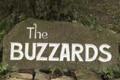 The Buzzards image 2