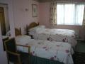 The Capri (Guest Accommodation) image 3