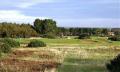 The Carnoustie Golf Links Management image 5
