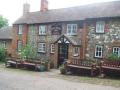The Dewdrop Inn image 6